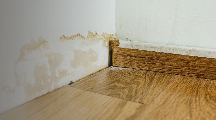 Why choose BlueSky Disaster Solutions for water damage restoration in Woodford Green